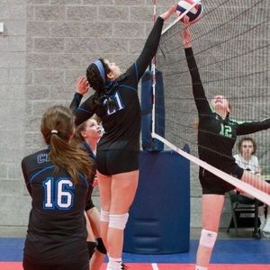 Meet your Posher, Gianna